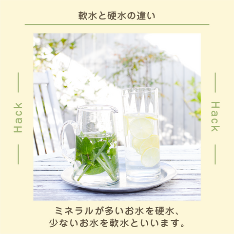 きょうの豆知識