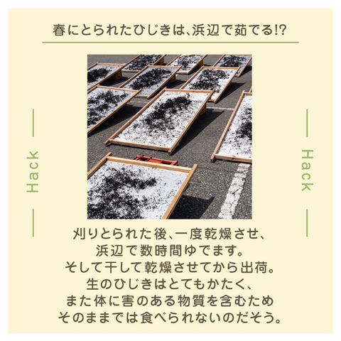 きょうの豆知識