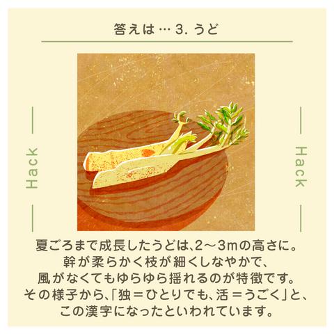 きょうの豆知識