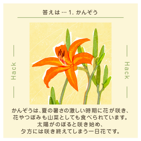 きょうの豆知識