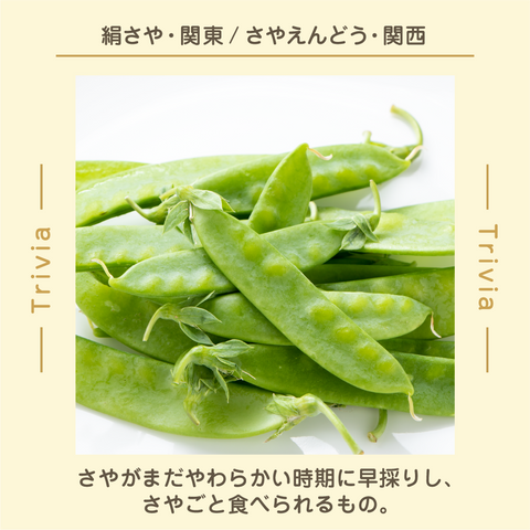きょうの豆知識
