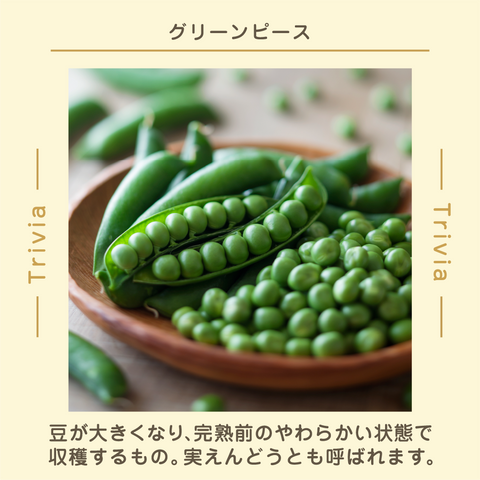 きょうの豆知識