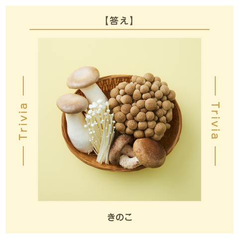 きょうの豆知識