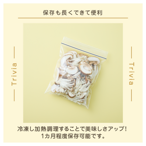 きょうの豆知識