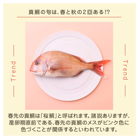 きょうの豆知識