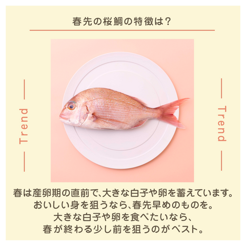 きょうの豆知識