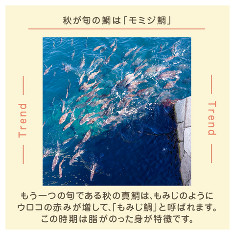 きょうの豆知識