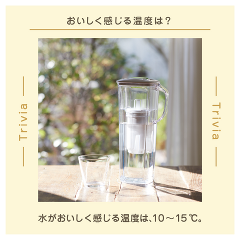 きょうの豆知識