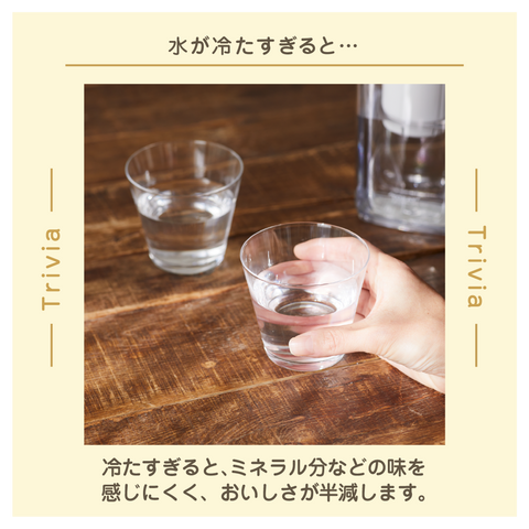 きょうの豆知識