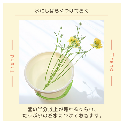 きょうの豆知識