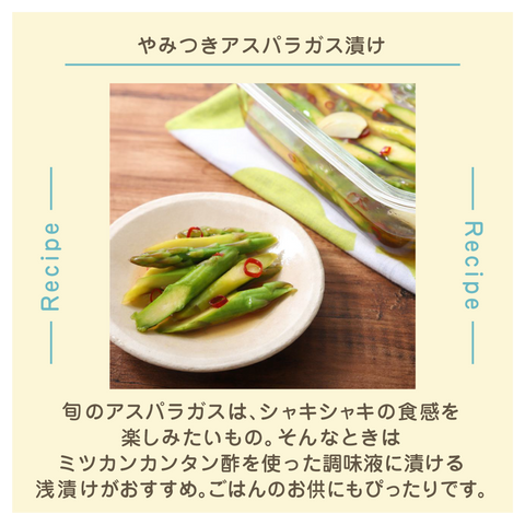 きょうの豆知識