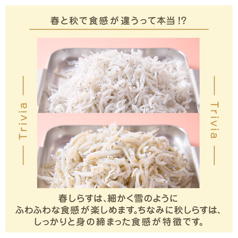 きょうの豆知識