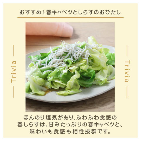 きょうの豆知識