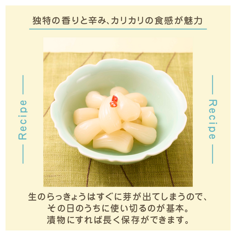 きょうの豆知識