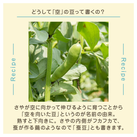 きょうの豆知識