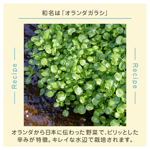 きょうの豆知識