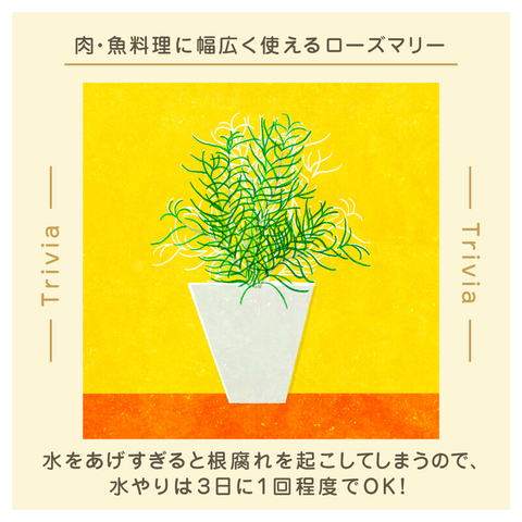きょうの豆知識