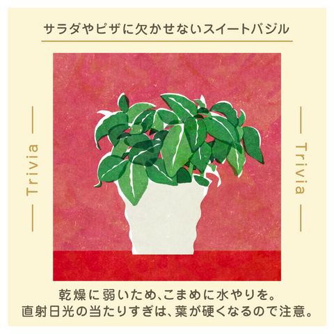 きょうの豆知識