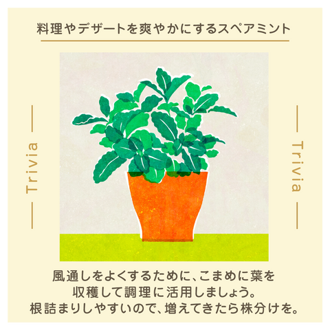 きょうの豆知識