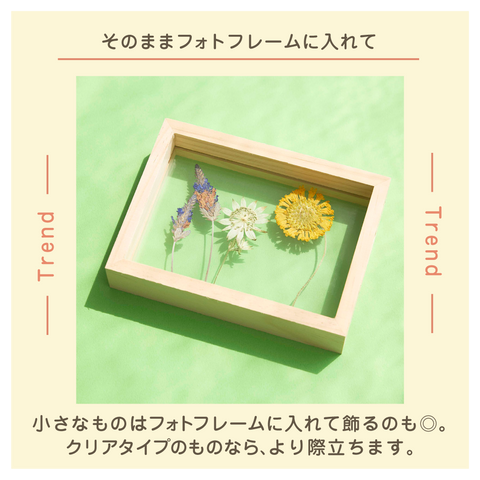 きょうの豆知識