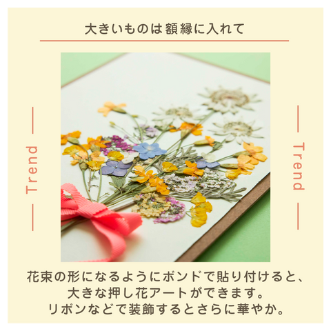 きょうの豆知識