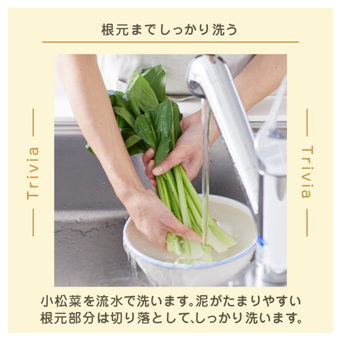 きょうの豆知識