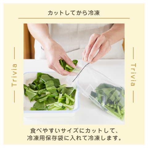 きょうの豆知識