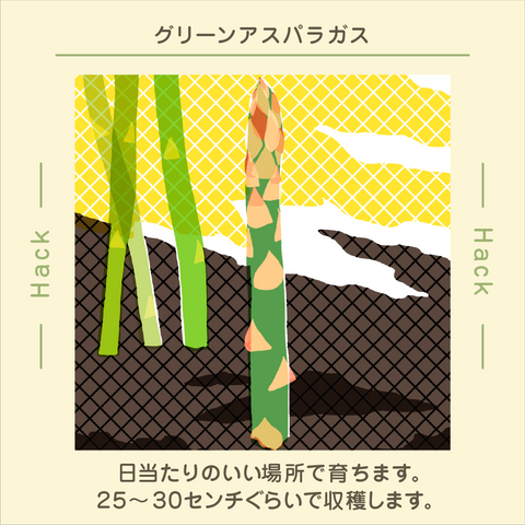 きょうの豆知識