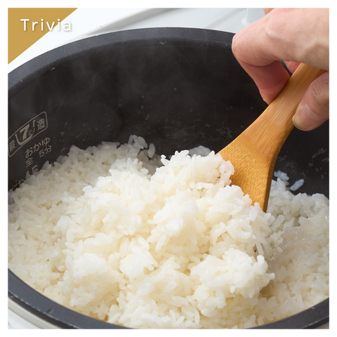 きょうの豆知識