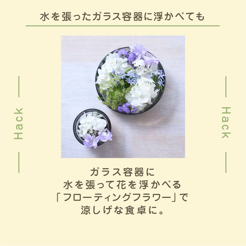 きょうの豆知識
