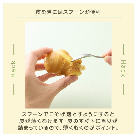 きょうの豆知識