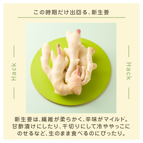 きょうの豆知識