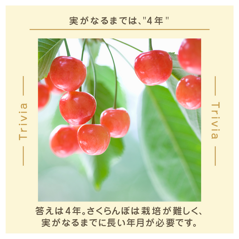 きょうの豆知識