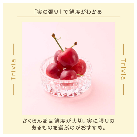 きょうの豆知識