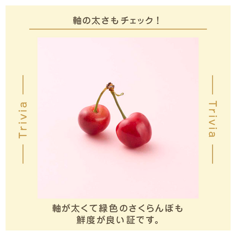 きょうの豆知識