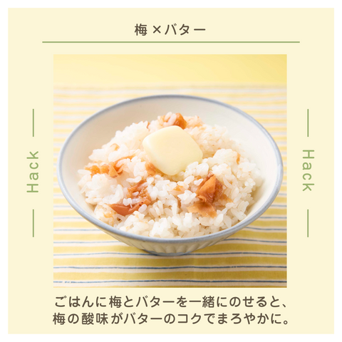 きょうの豆知識