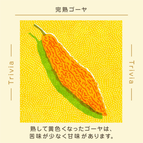 きょうの豆知識