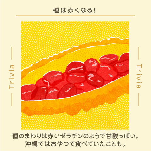 きょうの豆知識
