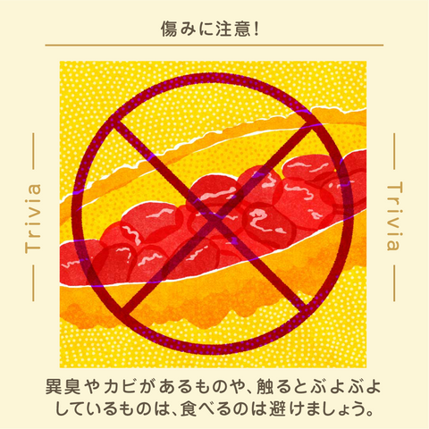 きょうの豆知識