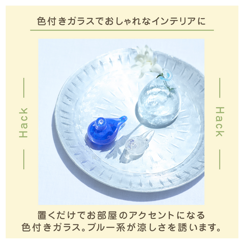 きょうの豆知識