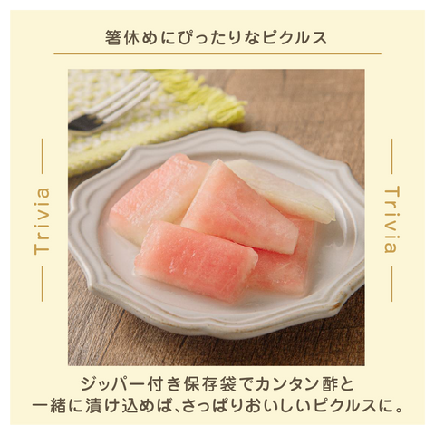きょうの豆知識