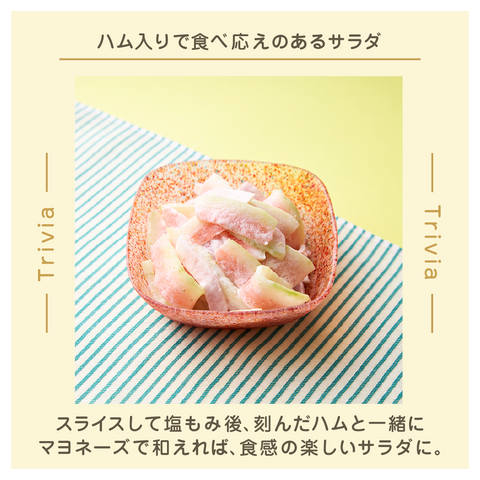 きょうの豆知識