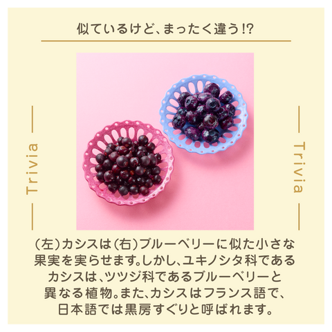 きょうの豆知識