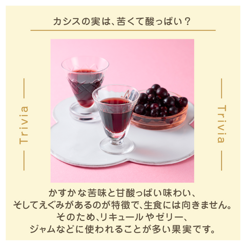 きょうの豆知識