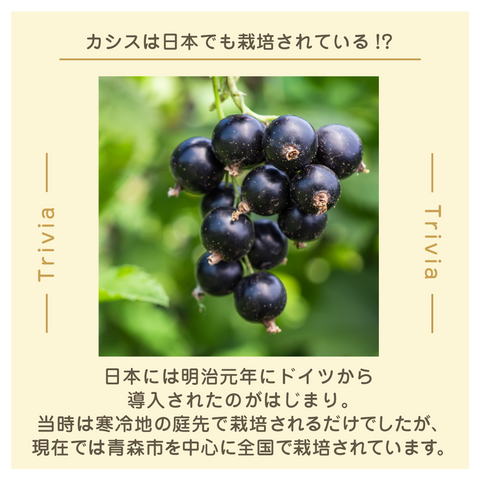 きょうの豆知識