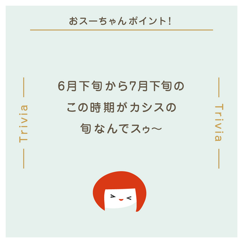 きょうの豆知識