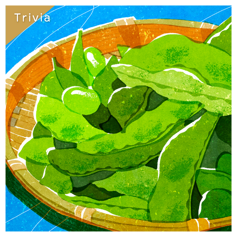 きょうの豆知識