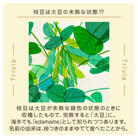 きょうの豆知識