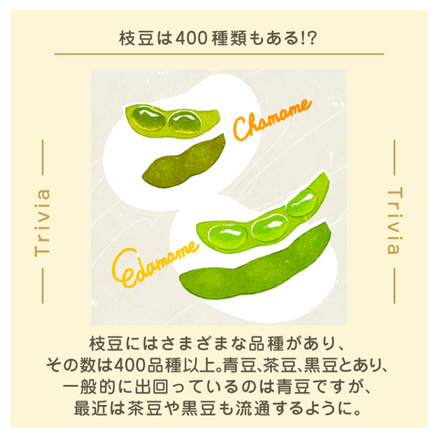 きょうの豆知識