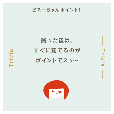 きょうの豆知識